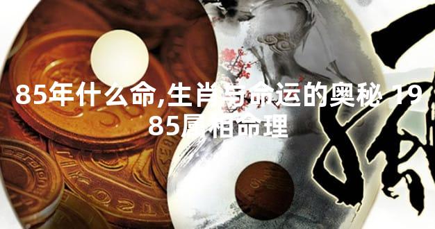85年什么命,生肖与命运的奥秘 1985属相命理